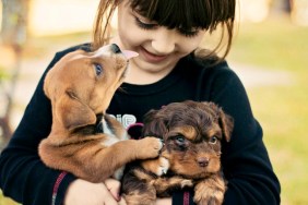 A little girl playing with two cute puppies.