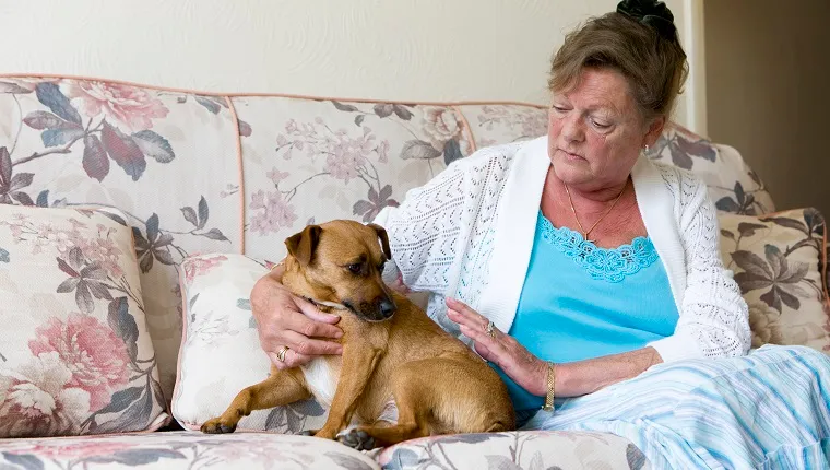 A senior woman in an unhappy state of mind seeks solace in her pet.