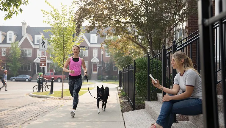 Female runner running with dog and woman texting with cell phone on neighborhood sidewalk