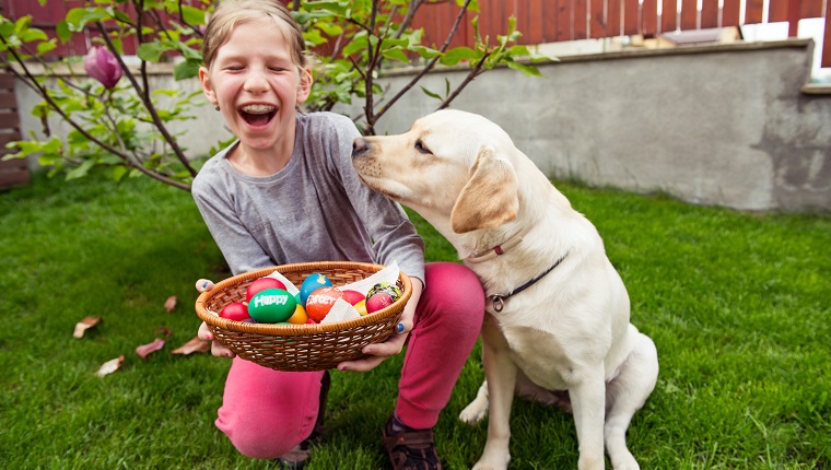Easter Safety Tips For Dog Parents With Veterinarian Dr. Danielle ...