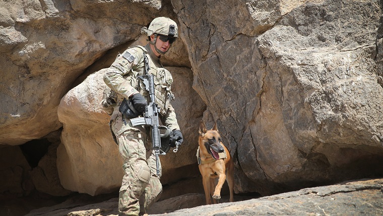 KANDAHAR, AFGHANISTAN - FEBRUARY 28: SPC Daniel Jackson from Centralia, Kansas and his dog Bailey with the 904th Military Police Detachment search through caves looking for weapons caches during a patrol with the U.S. Army's 4th squadron 2d Cavalry Regiment on February 28, 2014 near Kandahar, Afghanistan. Defense Secretary Chuck Hagel announced recently he is making preparations for a complete military withdrawal from Afghanistan because Afghanistan President Hamid Karzai continues to refuse to sign the Bilateral Security Agreement. Fourth squadron 2d Cavalry Regiment is responsible for defending Kandahar Airfield against rocket attacks from insurgents. (Photo by Scott Olson/Getty Images)