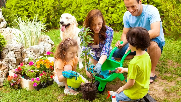 Family with two children and dog planting flowers in a back or front yard.