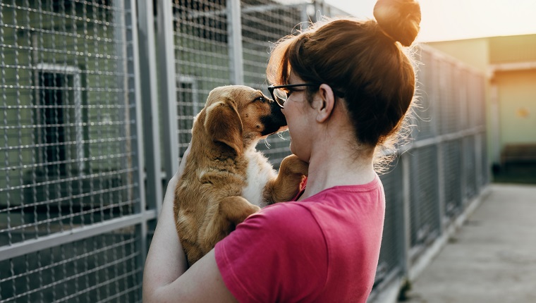 National adopt a 2024 shelter pet day