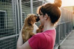 Young woman adopting dog from a shelter.