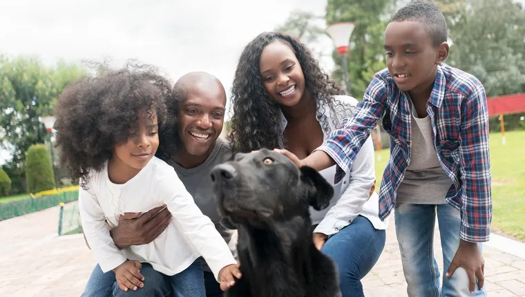 Portrait of a happy African American family adopting a dog and smiling â?? lifestyle concepts