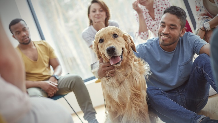 Man petting dog in group therapy session