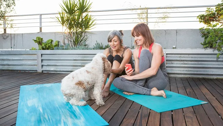 Women with dog using cell phone on exercise mat