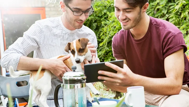 gay couple looking at digital tablet in garden.