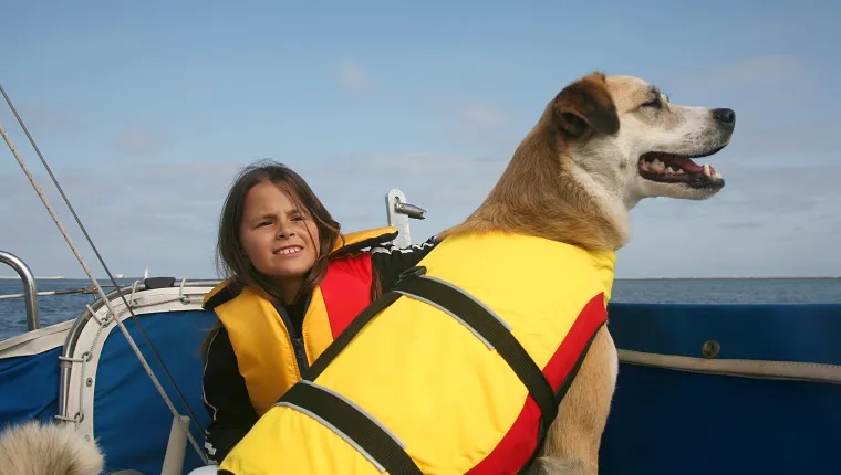Akita and Australian shepard mixed breed dog and girl sailing across the water http://www.microstockgroup.com/lightbox/transport.jpg
