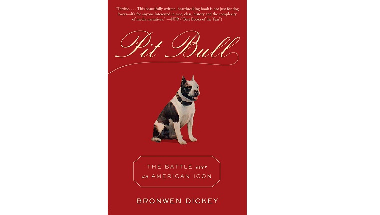 Pit Bull book cover