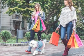 Two young women with shopping bags, returning from the shopping with a dog poodle.
