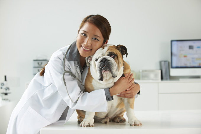 can you reverse kidney disease in dogs