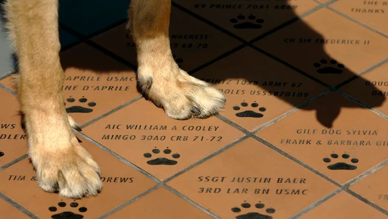 Riverside, Aug. 17, 2007 ? ? ? Small tiles carrying war dogs and their handlers name are installed at the foot of War Dog Memorial located in March Field Air Museum ? March Air Force Base to pay tribute to all the dogs and their handlers who took part in wars (Photo by Irfan Khan/Los Angeles Times via Getty Images)