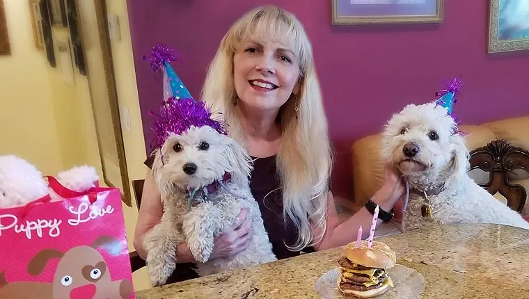 A blonde haired woman and her two dogs are having a birthday party. The dogs are wearing party hats. They are sitting at the counter and the birthday cake is a hamburger with candles in it. To the side is a gift bag with a dog on the front. The image was taken in Southern California.