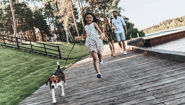 Full length of cute little girl running with dog and smiling while her parents walking behind