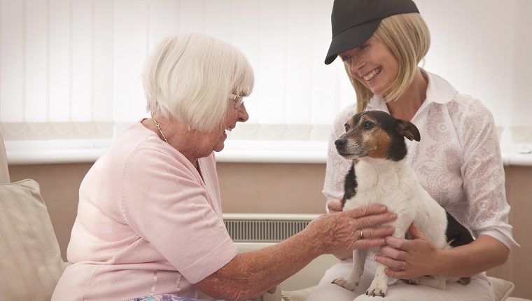 therapy dog community care