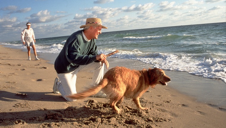 elderly man plays fetch with dog at beach