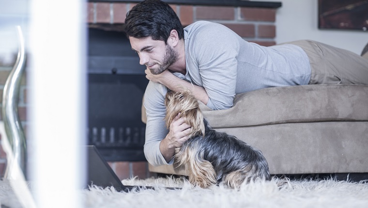 Man with dog lying on couch looking at laptop
