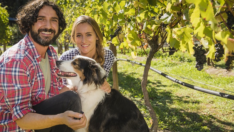 couple kneeling in vineyard petting dog