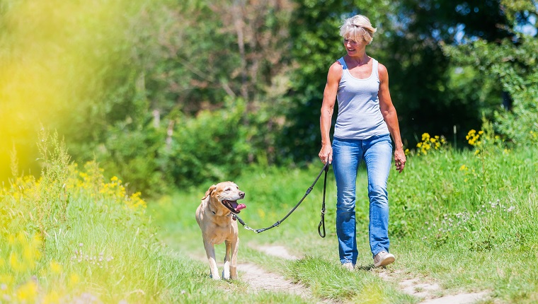 mature woman hiking with a dog at the leash in a rural landscape