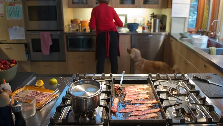 Grandmother in the kitchen prepares a brunch of bacon and eggs as her dog watches her mixing ingredients with interest.