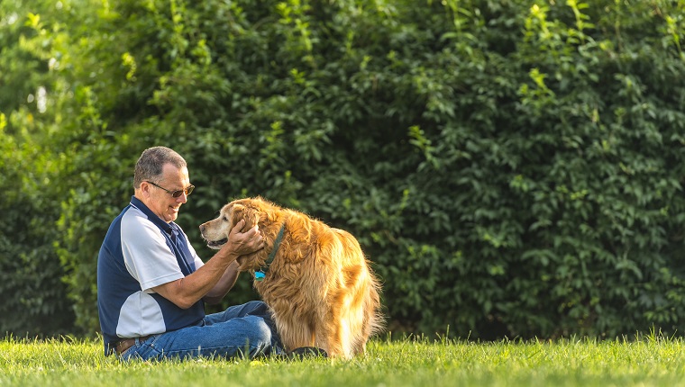 A middle aged Caucasian man sitting in the grass petting/rubbing the ears his senior Golden Retriever as the dog give him a paw at sunset. This setting could be his back yard or at a public park.