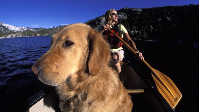 dog with human in a canoe