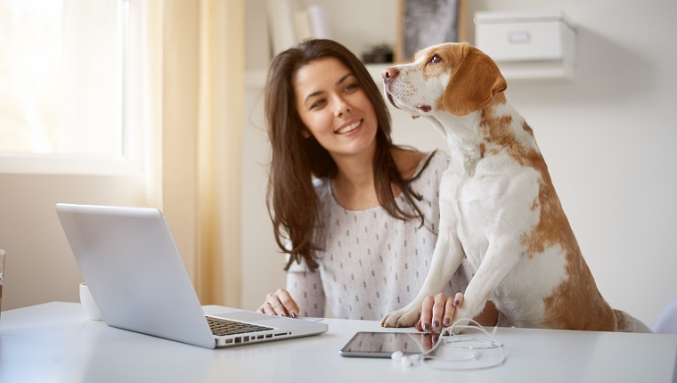 Woman playing with dog at home office