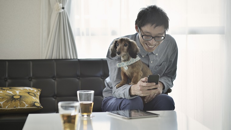 Man sitting on a sofa and using the smartphone with dog,The dog is miniature dachshund