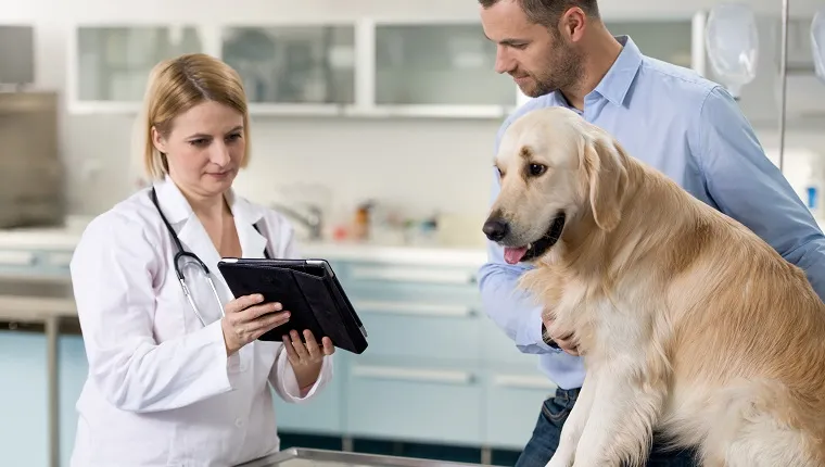 A female veterinarian talking and showing to a dog owner about the pet's health.