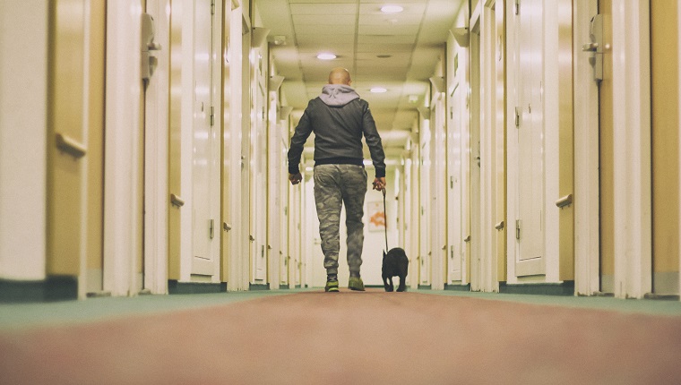 Man walking the dog in a hall