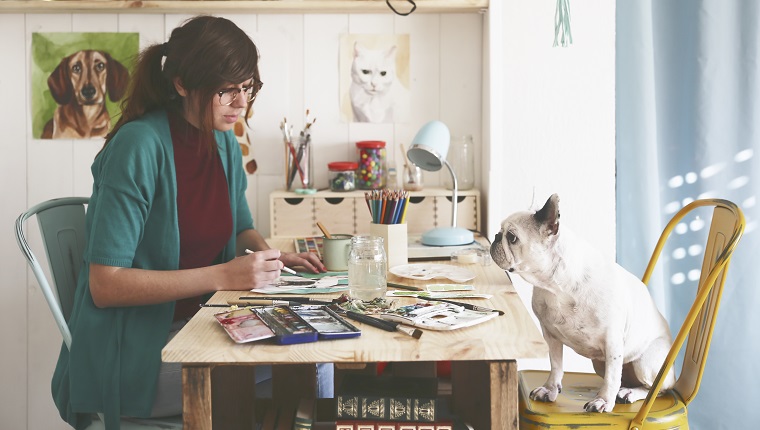 Artist painting an aquarelle of her French bulldog in her studio
