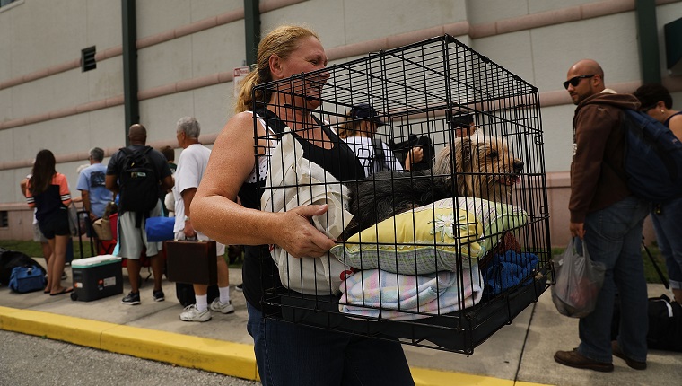 FORT MYERS, FL - SEPTEMBER 09: A woman carries her dog as people arrive at a shelter at Alico Arena where thousands of Floridians are hoping to ride out Hurricane Irma on September 9, 2017 in Fort Myers, Florida. The Fort Myers area could begin to feel hurricane-force winds from Irma by 11 a.m. Sunday and experience wind gusts over 100 mph from Sunday through Monday. (Photo by Spencer Platt/Getty Images)