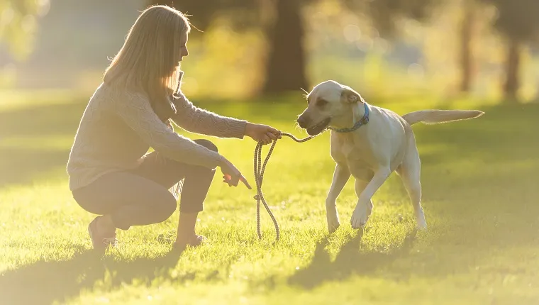 A blonde woman walks her dog in the park on a beautiful summer evening. She is crouching down while holding his leash and pointing to the grass. The sun is setting through the trees.