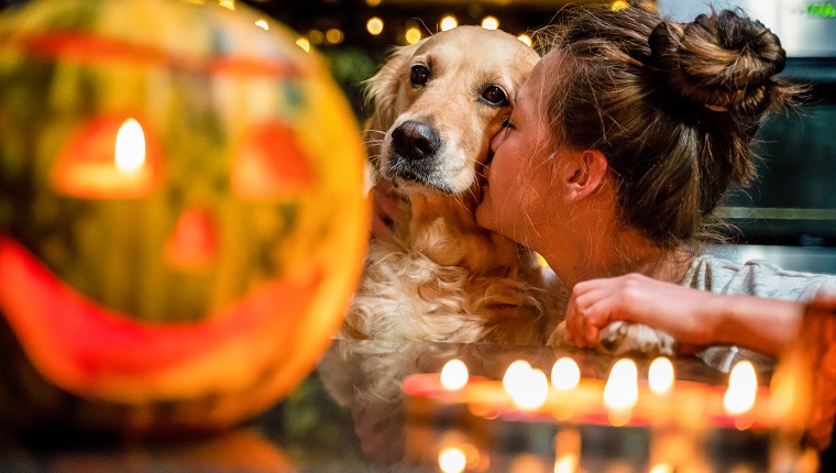 Woman kissing golden retriever dog halloween decoration. The scene is situated indoors in city apartment located in Sofia, Bulgaria (Eastern Europe). The picture is taken with Sony A7RIII camera.