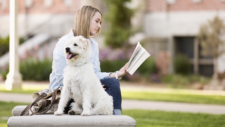 Student with dog reading book on college campus