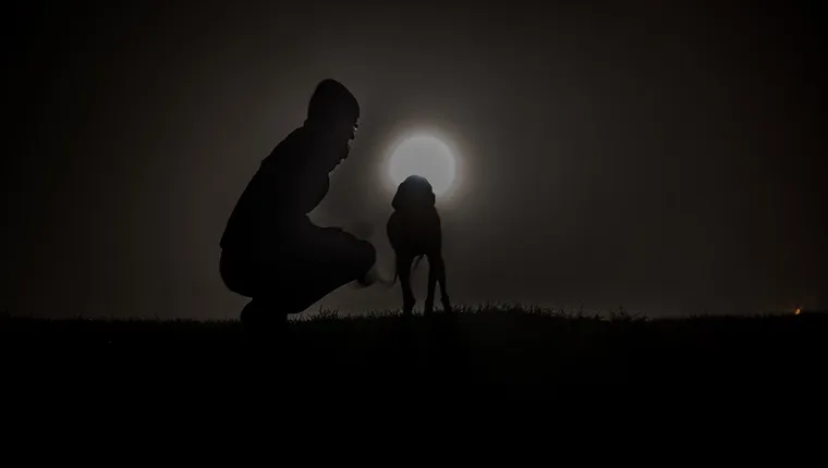 Man Crouching By Dog On Field At Night