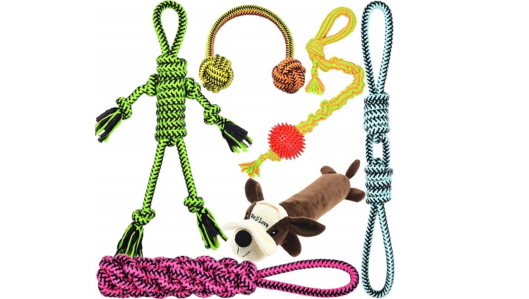 dog toy 6 pack