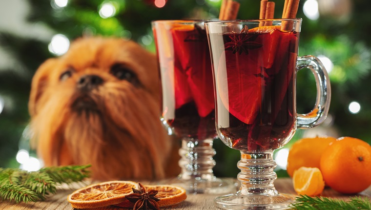 10 Dog Inspired Cocktails For Your Holiday Celebration DogTime   Dog Inspired Cocktails Holidays 1 