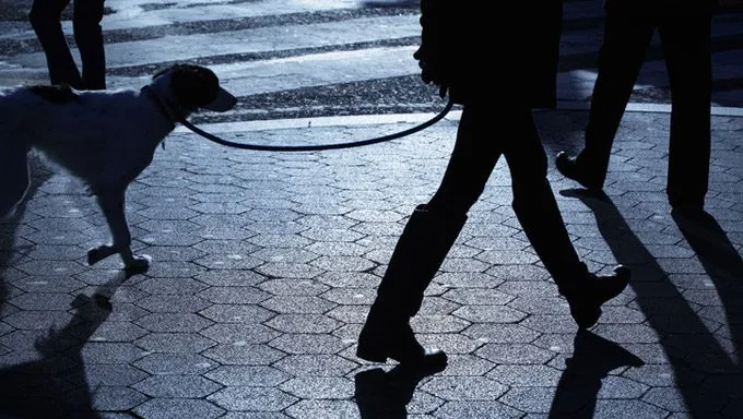 dog walking on leash at night