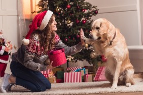 happy young woman in santa hat playing with dog at christmastime