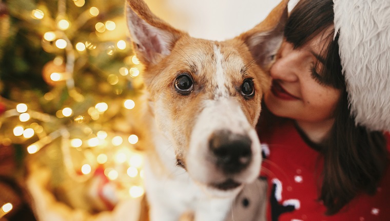6 Amazing Holiday Gifts For New Dog Parents - DogTime