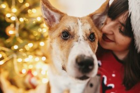 happy girl in santa hat hugging with cute dog on background of golden beautiful christmas tree with lights in festive room. family warm atmospheric moments. winter holidays