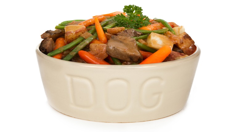 Can Dogs Eat Green Beans Are Green Beans Safe For Dogs DogTime