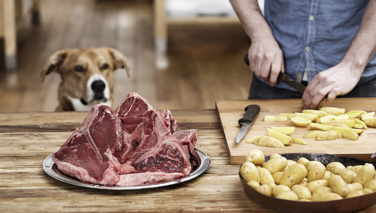 Are cooked potatoes 2025 bad for dogs