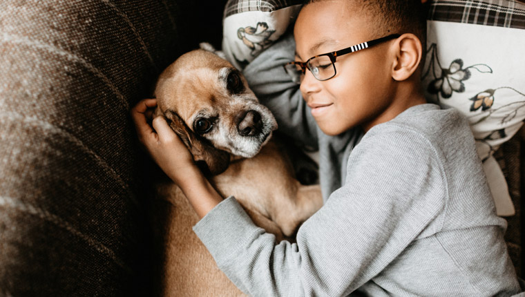 Dogs for deals young child