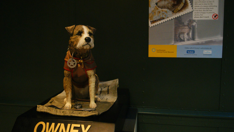 Forever Owney the Postal Dog single