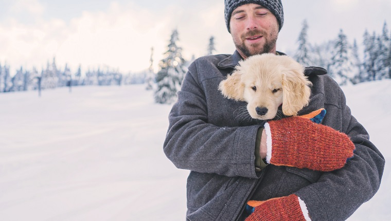 Man holding golden retriever puppy dog in his coat