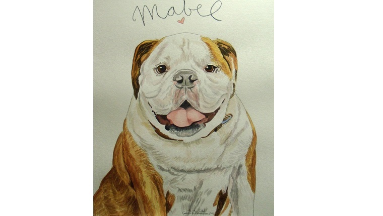 Gene's watercolor of a Bulldog named Mabel