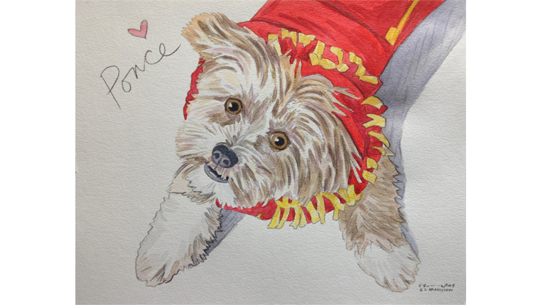 Gene's watercolor of a dog named Ponce